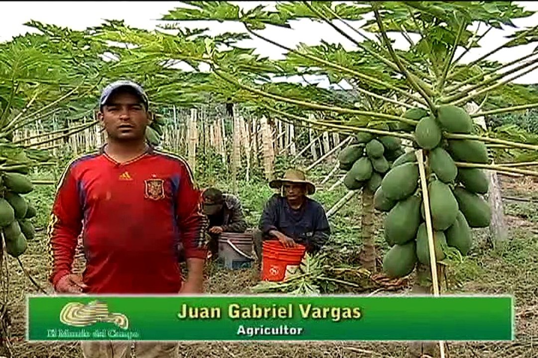 27 de mayo de 2015 Tarqui Huila