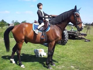 Enguerrand et Pouille