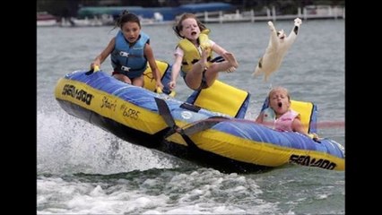 Des moments totalement WTF - compilation photo