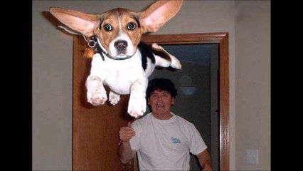 So WTF!!! - Hilarious Photo compilation