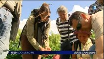 France 3 Loire - 29 mai 2015