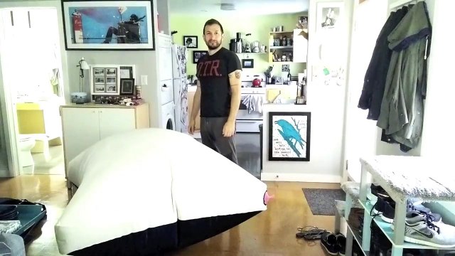 Le coussin peteur le plus gros du monde... Et le chat s'en fout complètement