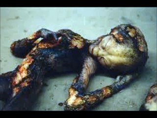 strange creature caught on tape