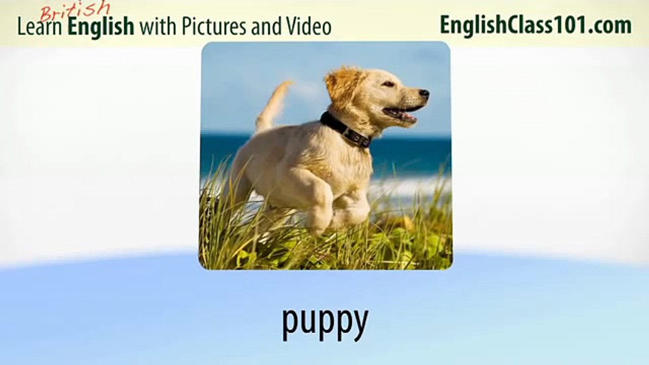 Learn British English with Video - Top 20 British English Verbs 1