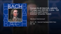 Cantata No.86 Wahrlich, wahrlich, ich sage euch BWV86 : II Aria - 