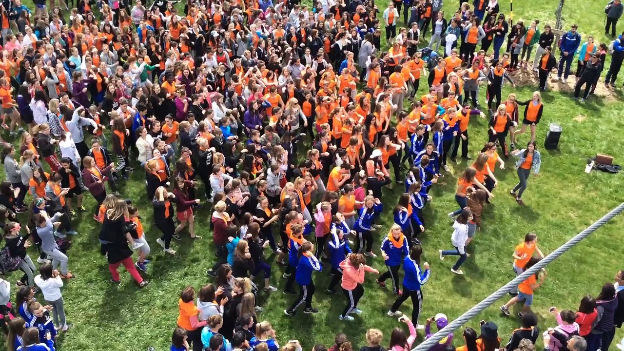 Fête du z'elles 2015 (1)