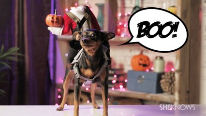 Headless Horseman Dog Costume