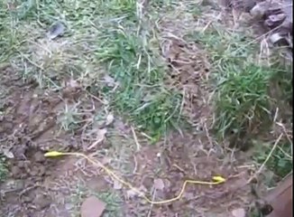 Earth Battery Motor Continuously Running