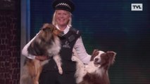 Un chien belge remporte l'émission 