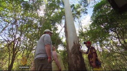 Cultural link between British mining town and Aboriginal Australia