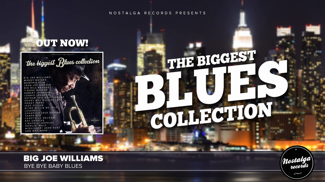 Big Joe Williams - Bye Bye Baby Blues