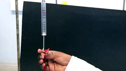 Relation entre le poids et la masse