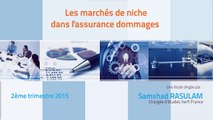 Xerfi France, Les marchés de niche dans l'assurance dommages