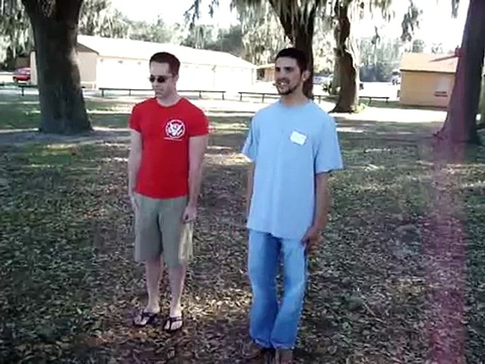 The Penguin Dance