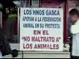 La verdad sobre el circo de los Hermanos Gasca