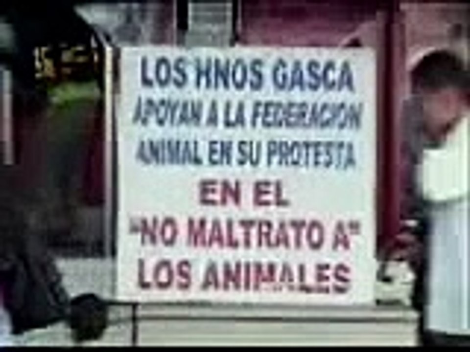 La verdad sobre el circo de los Hermanos Gasca