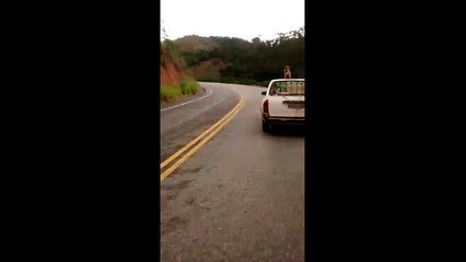 Vídeo mostra cachorro sendo carregado em cima do carro sem proteção