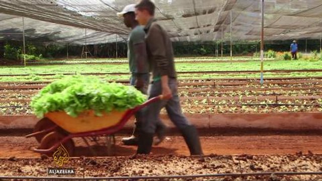 Cuba's organic farms could be the future of agriculture