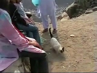 Ghar-e-Hira Extended Version.wmv