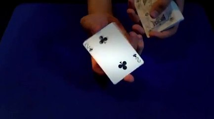 Magic Tricks Revealed  Say Stop Card Trick