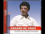 Gerard de Vries - Voor niets