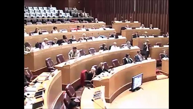 Intervention de Guillaume CROS - Drame de SIVENS - Assemblée Plénière du 29/10/2014