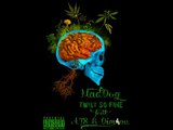 MadDog & ATS feat Dim4ou - Twist So Fine