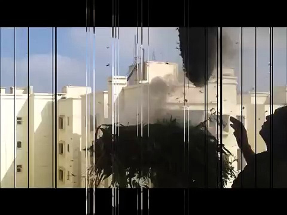 Retirer un nid d'abeilles à mains nues