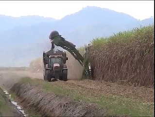 Sugar Cane Harvester