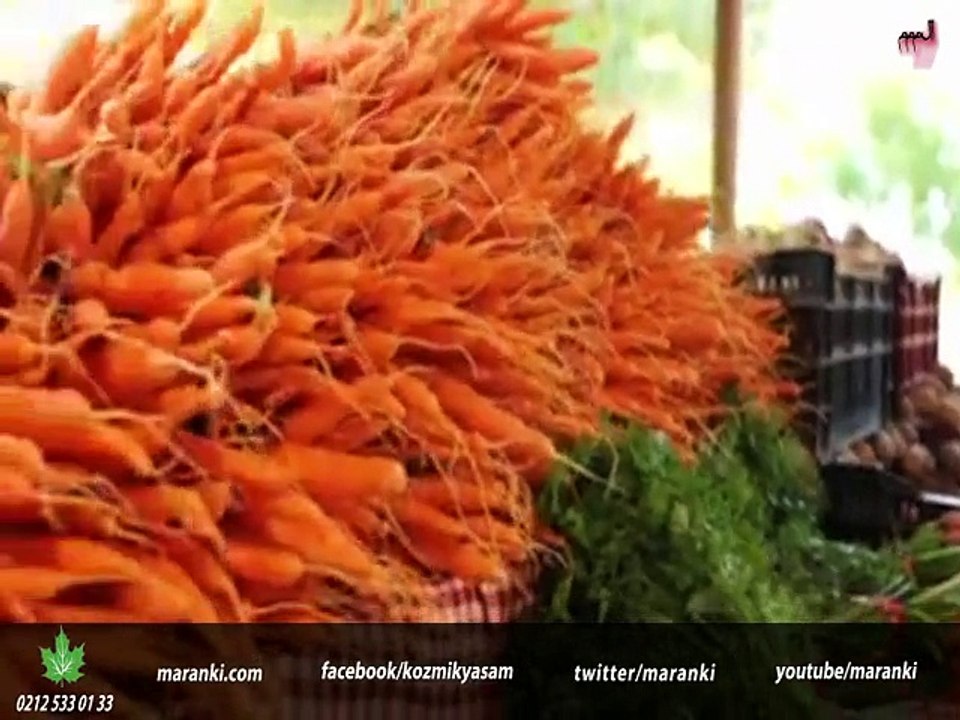 Yediğiniz, İçtiğiniz, Giydiğiniz: “Hem Helal Olmalı Hem de Tayyib Olmalı?”