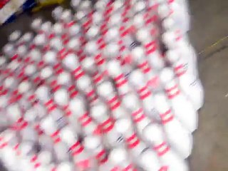 100 pin bowling in a garage