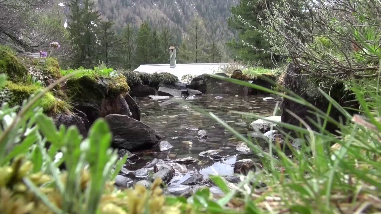 [PARTENARIAT] Road Trip dans le Valais - jour 3 : Pays du Saint-Bernard