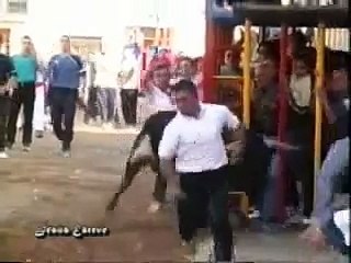 Cogidas 2