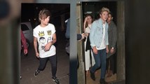 Louis Tomlinson and Niall Horan Party With The Fifth Harmony Girls