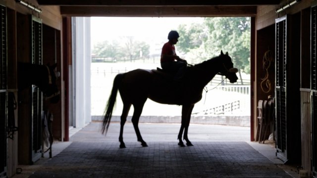 Why the Triple Crown is so hard to win