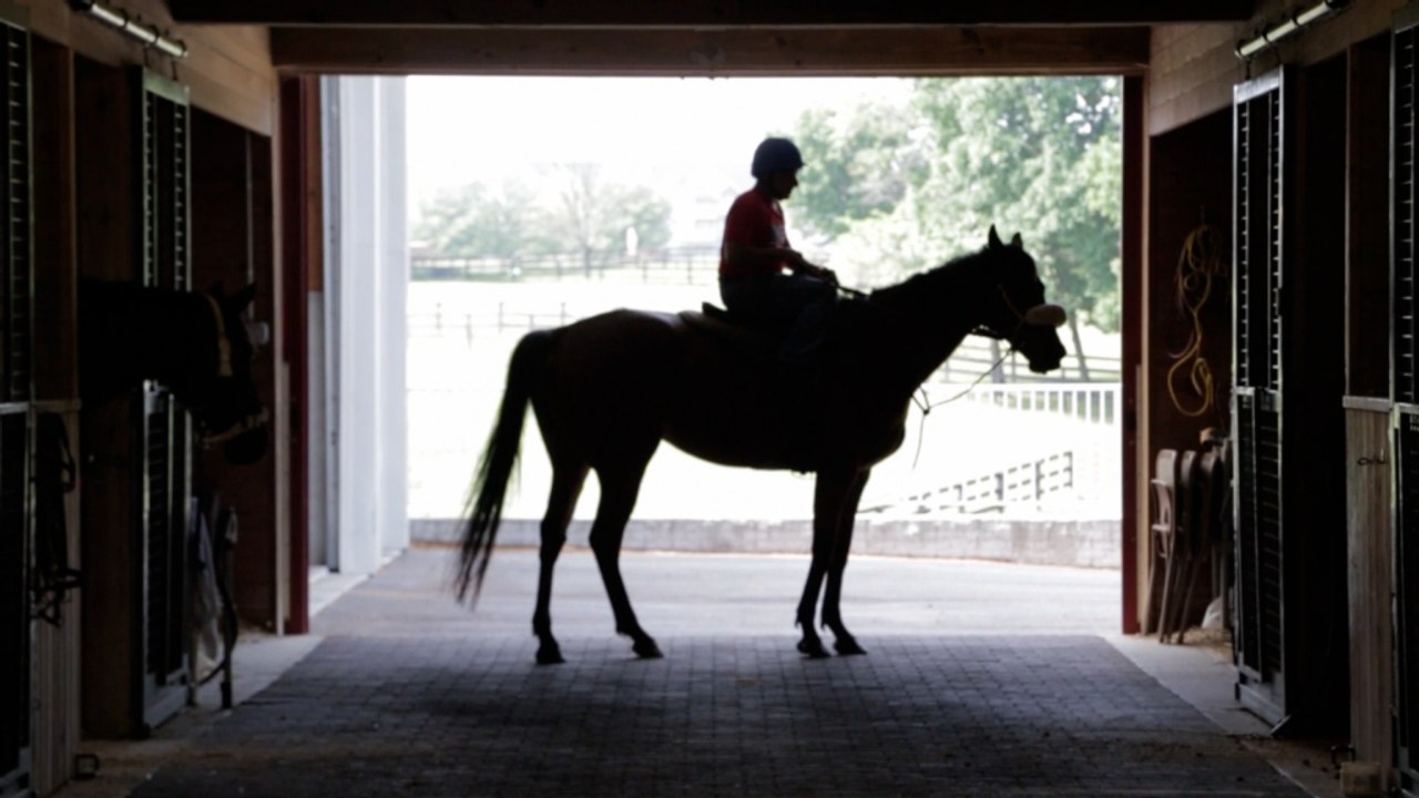 Why the Triple Crown is so hard to win