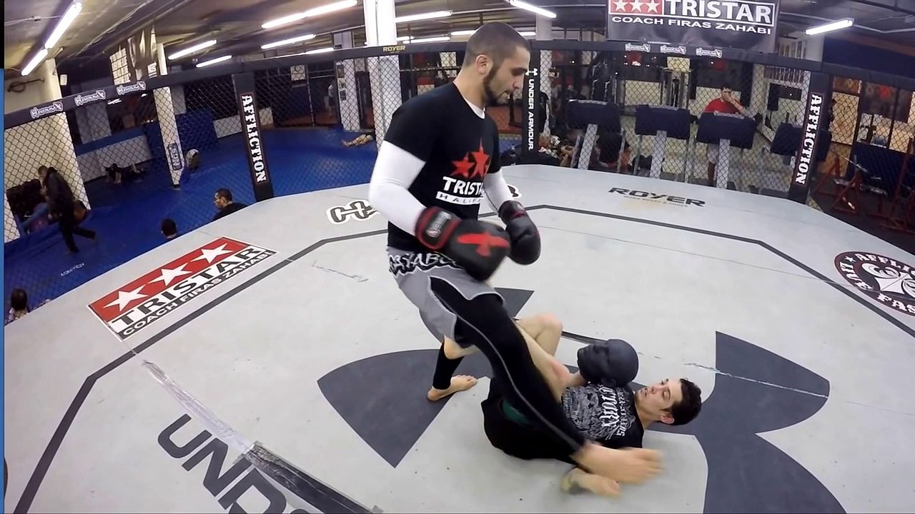 MMA Ground and Pound Tutorial - Coach Firas Zahabi