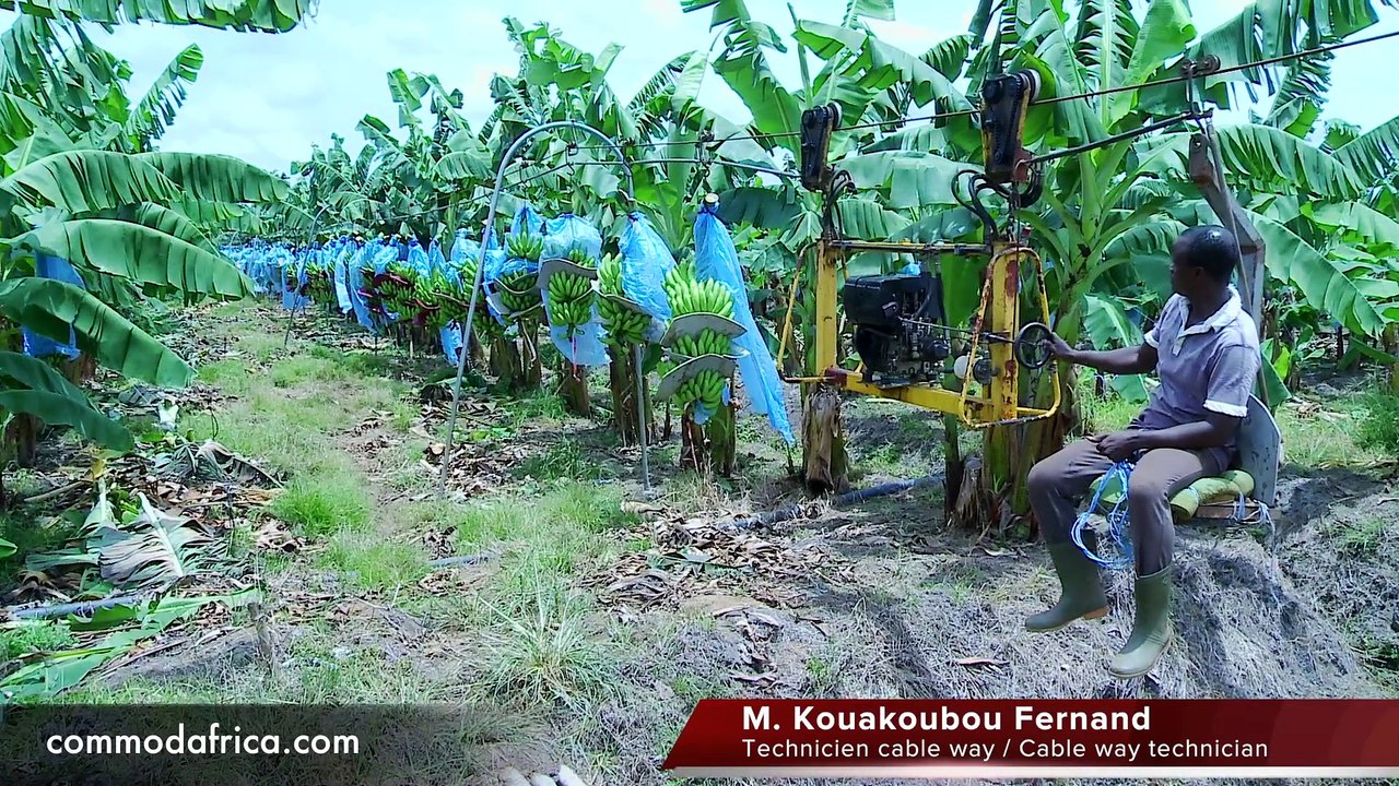 Kouakoubou Fernand