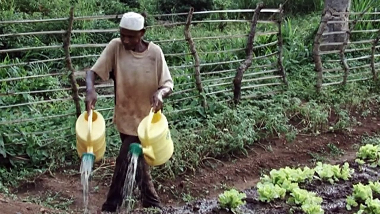 'Wall' of religious hatred divides Central African town