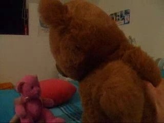 Pascal le grand frère nounours