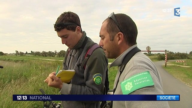 Le service civique désormais accessible à tous