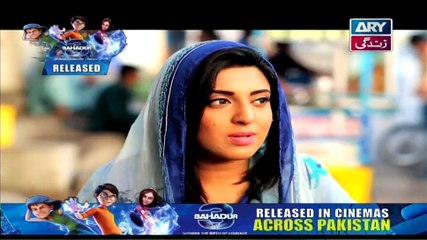 Raja Indar Episode 17 Full ARY Zindagi Drama 1st June 2015