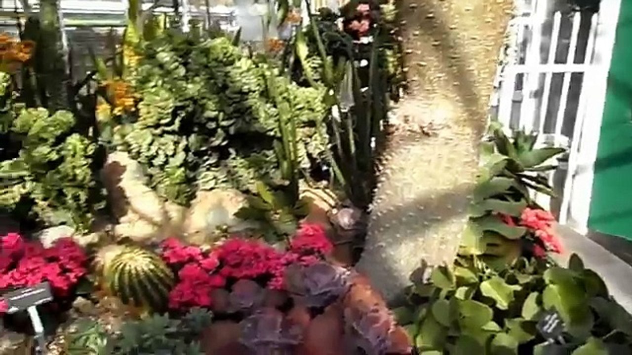 Allan Gardens, Toronto