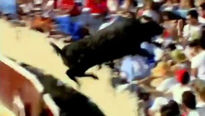 Wild Bull Jumps into Audience Crowd - Shocking Video 2015