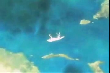 Wolf's Rain - Sacrifice