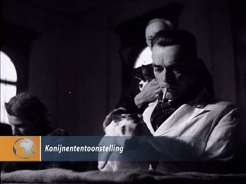 Konijnententoonstelling - 1947