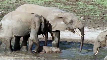 Water and Sun - what fun!