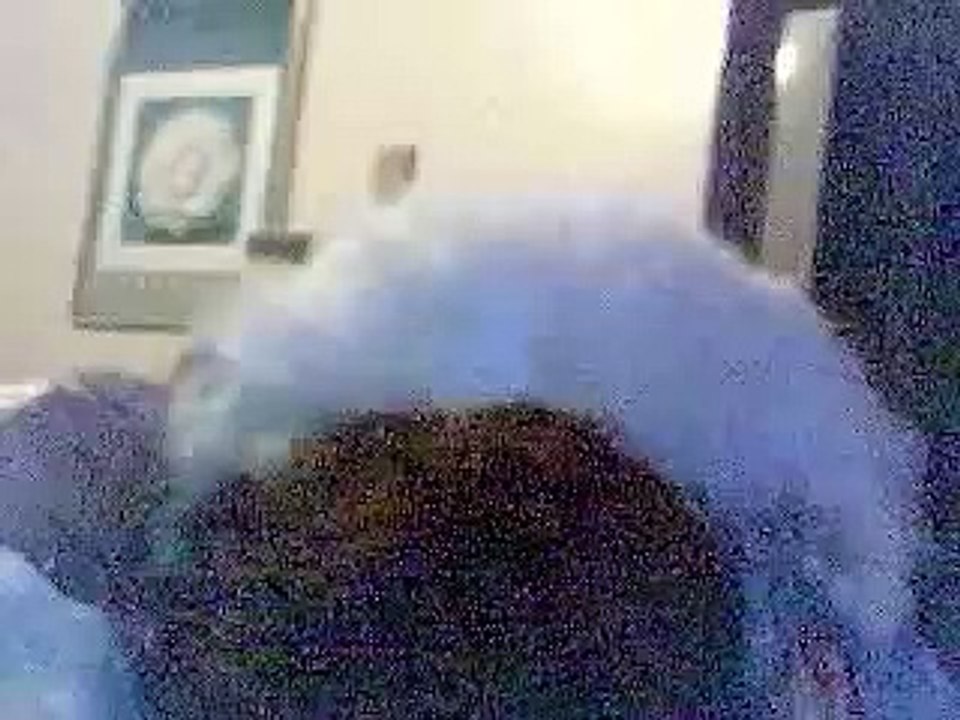 There's A Pussy On My SIsters Back?