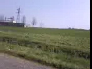 P-gma Grand Bois 5x7