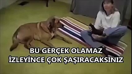 İZLEYİNCE ÇOK ŞAŞIRACAKSINIZ